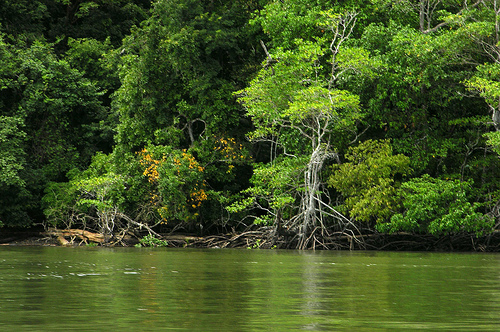 Национальный парк Дариен